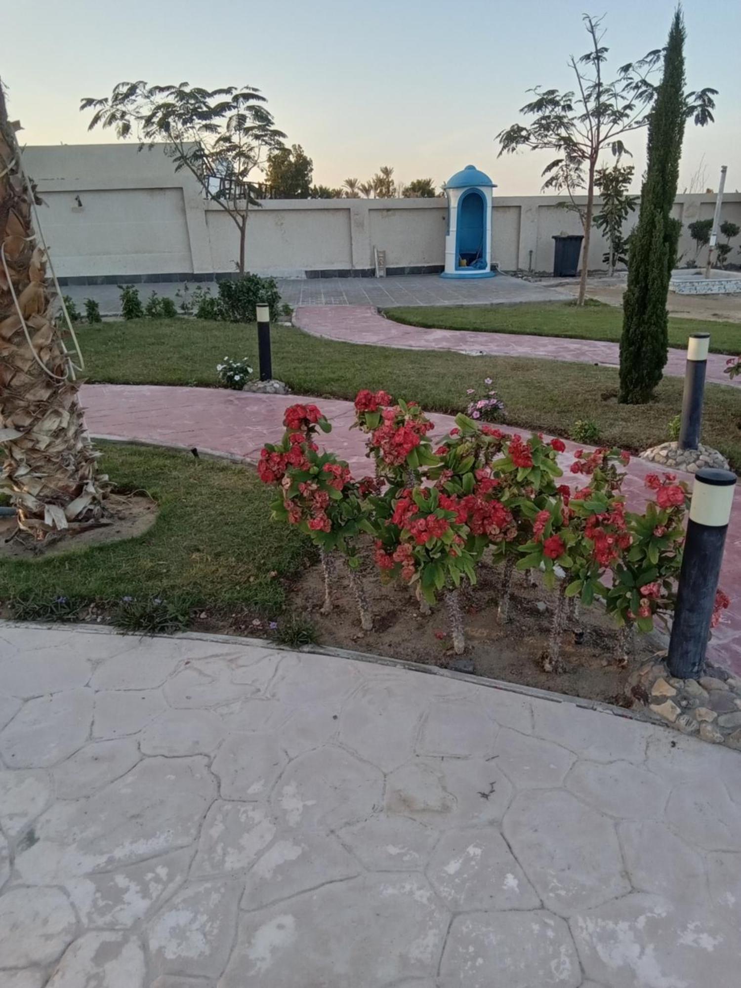 Aparthotel Casablanca Beach For Families And Couples Only Hurghada Exterior foto